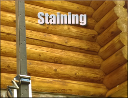  Oriental, North Carolina Log Home Staining